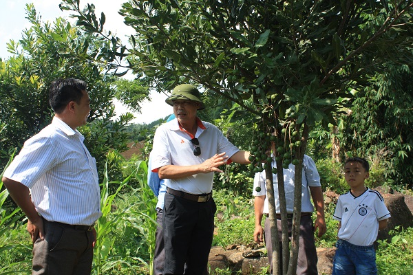 Phó Chủ tịch UBND tỉnh Lê Trong Quảng kiểm tra cây Mắc ca sinh trưởng trên địa bàn tỉnh Lai Châu