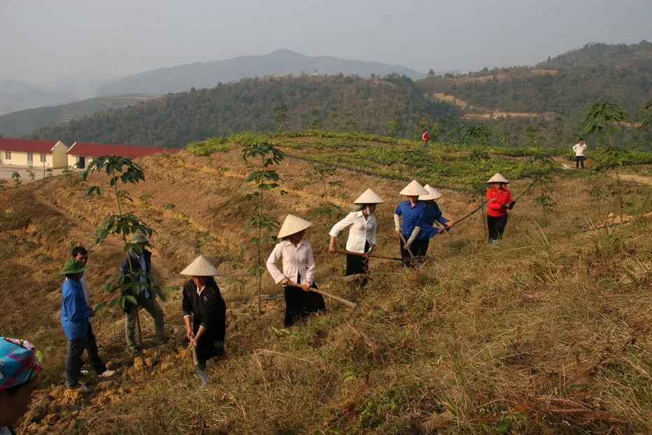 Công nhân Công ty Cổ phần Cao su Dầu Tiếng Lai Châu chăm sóc vườn cao su