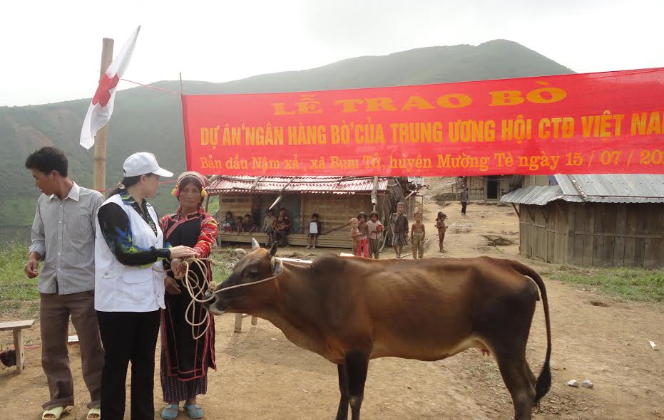Đại diện lãnh đạo Hội CTĐ huyện trao bò cho hộ nghèo bản Nậm Xả, xã Bum Tở, huyện Mường Tè.
