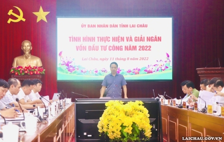 Chủ tịch UBND tỉnh Trần Tiến Dũng chủ trì cuộc họp.