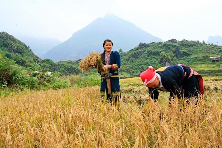 Tái cơ cấu nông nghiệp tập trung vào sản phẩm thế mạnh