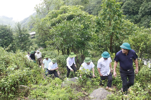 Phó Chủ tịch UBND tỉnh Lê Trọng Quảng cùng đoàn công tác đi thị sát thực tế